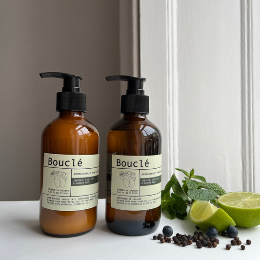 Juniper, Lime Zest & Garden Mint Hand Wash & Lotion Gift Set